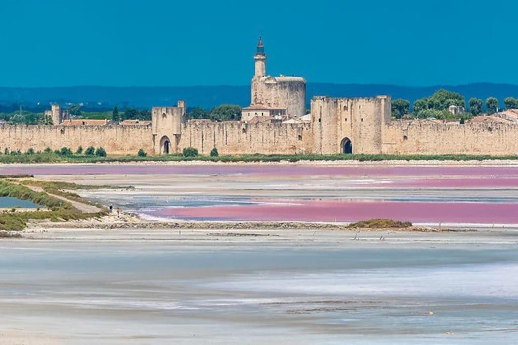 Maison A 800M Des Remparts Aigues-Mortes Exteriér fotografie